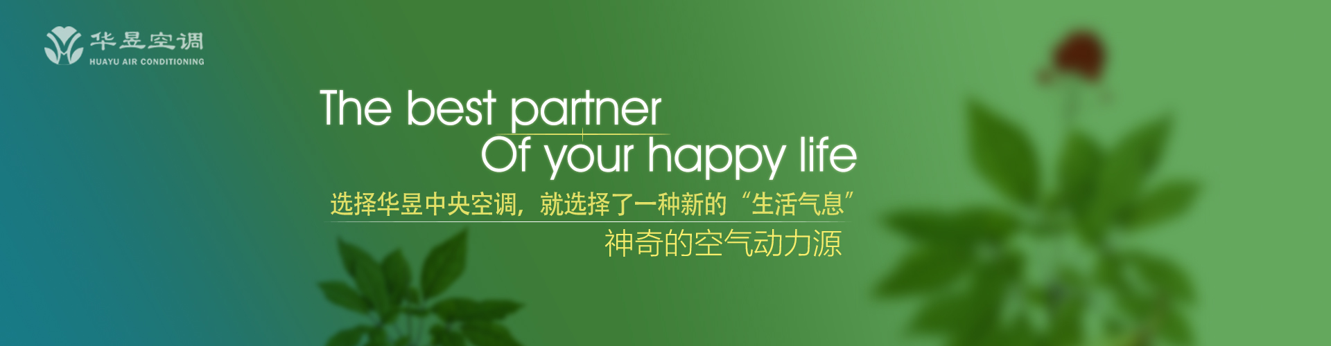遁迹潜形网